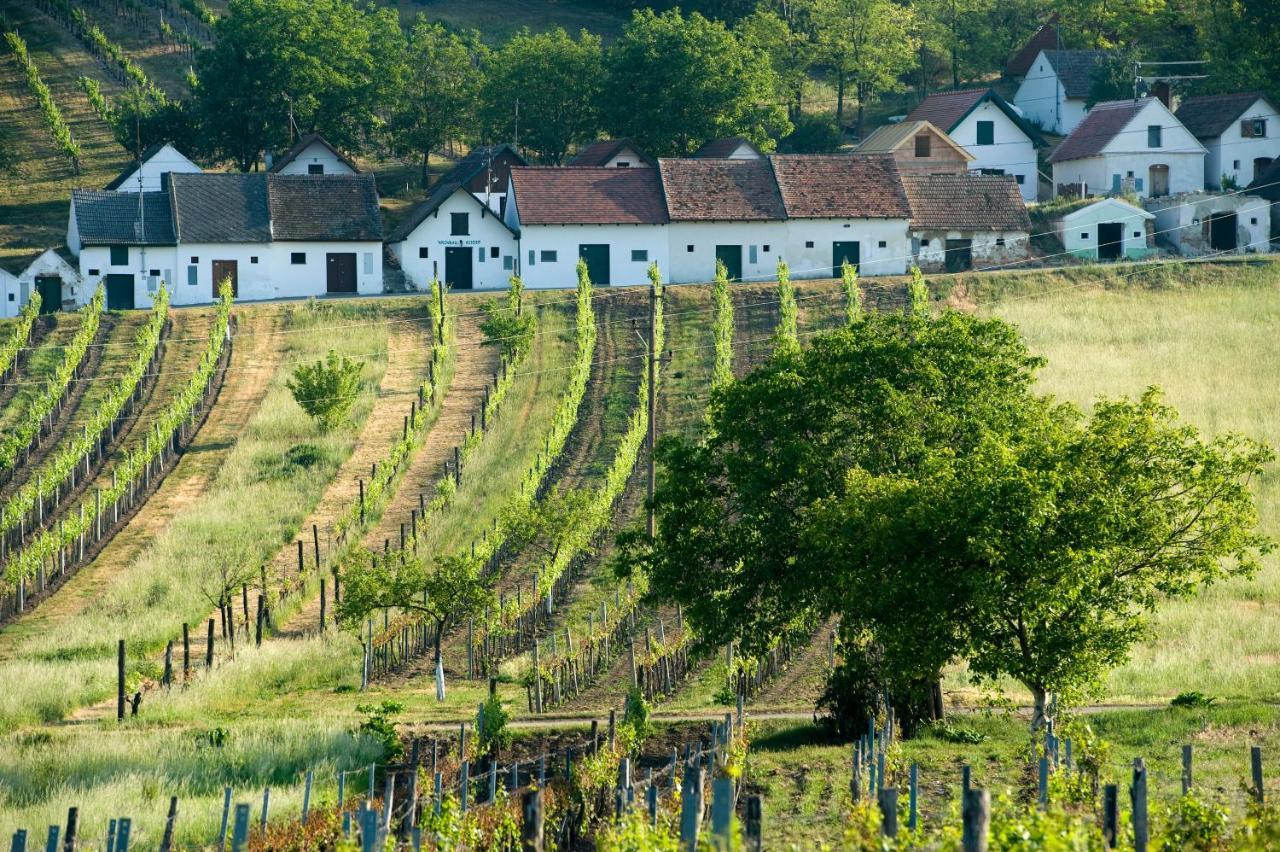 Weinhotel Rieder Poysdorf Eksteriør bilde